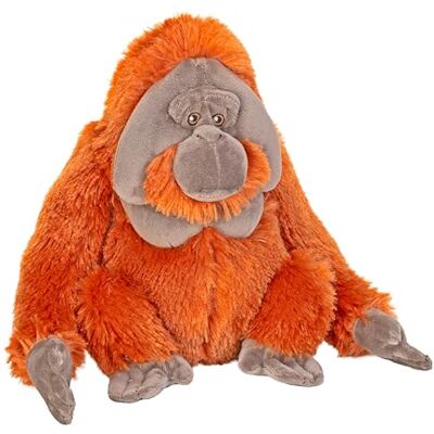 WILD REPUBLIC Cuddlekins Eco Orang-Outan Mâle, Peluche, 30 cm, Écologique - Publicité WILD REPUBLIC Cuddlekins Eco Orang-Outan Mâle, Peluche, 30 cm, Écologique - Publicité