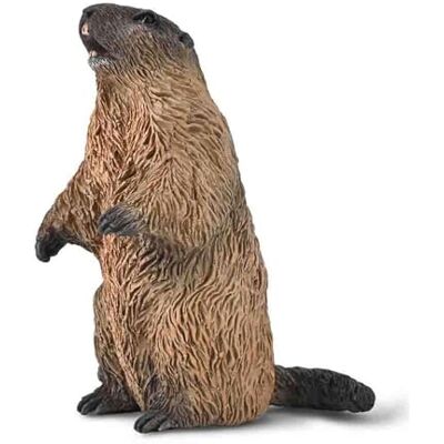 Collecta Marmot – Figurine d'animal réaliste et finie à la main, mini modèles d'animaux sauvages, figurines d'animaux sauvages pour enfants, cadeaux de la nature pour les tout-petits et les enfants, à - Publicité Collecta Marmot – Figurine d'animal réaliste et finie à la main, mini modèles d'animaux sauvages, figurines d'animaux sauvages pour enfants, cadeaux de la nature pour les tout-petits et les enfants, à - Publicité