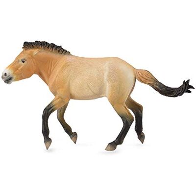 Collecta 3388602 Figurine Animal Chevaux Przewalski Etalon - Publicité Collecta 3388602 Figurine Animal Chevaux Przewalski Etalon - Publicité