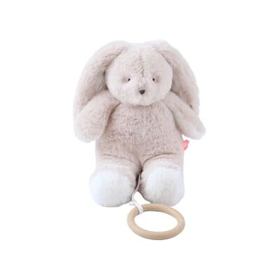 Noukie's Mini Peluche Musicale Moka Doudou avec Anneau en Bois Éveil Musical Cadeau Bébé - Publicité Noukie's Mini Peluche Musicale Moka Doudou avec Anneau en Bois Éveil Musical Cadeau Bébé - Publicité