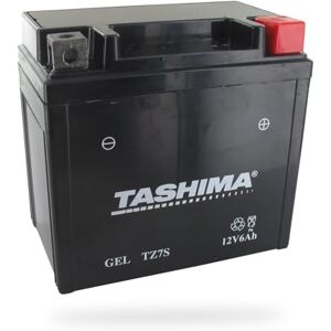 Greenstar Tashima FTZ7S Batterie Moto 12 V, lead acid agm, Pour Scooter ( L'emballage peut varier), Noir - Publicité Greenstar Tashima FTZ7S Batterie Moto 12 V, lead acid agm, Pour Scooter ( L'emballage peut varier), Noir - Publicité