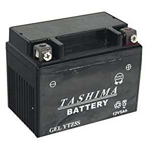 Greenstar Tashima batterie moto REF : FTZ5S - Publicité Greenstar Tashima batterie moto REF : FTZ5S - Publicité