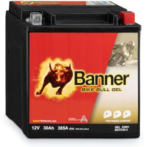 Batterie Gel Moto Banner - GTX30-3 12V 30Ah - Batterie Moto - Publicité Batterie Gel Moto Banner - GTX30-3 12V 30Ah - Batterie Moto - Publicité