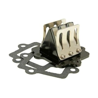 2EXTREME Racing boîte à six clapets compatible avec KEEWAY Hacker, RX6, RY6 Moteur Minarelli horizontal, Suzuki et moteurs chinois deux temps; compatible avec KEEWAY Hurricane, Matrix, RX8, RY8, Swan - Publicité 2EXTREME Racing boîte à six clapets compatible avec KEEWAY Hacker, RX6, RY6 Moteur Minarelli horizontal, Suzuki et moteurs chinois deux temps; compatible avec KEEWAY Hurricane, Matrix, RX8, RY8, Swan - Publicité