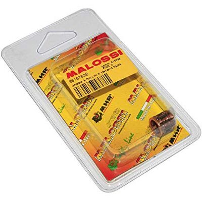 MALOSSI CAGE A AIGUILLES DE PISTON 10x14x13 POUR MBK 50 BOOSTER, NITRO, OVETTO 2T, STUNT-YAMAHA 50 BWS, AEROX, NEOS 2T, SLIDER-MALAGUTI 50 F12-APRILIA 50 SR Pour axe 10 millimètres; compatible avec MBK Nitro, Ovetto deux temps; compatible avec Yamaha 5 - Publicité MALOSSI CAGE A AIGUILLES DE PISTON 10x14x13 POUR MBK 50 BOOSTER, NITRO, OVETTO 2T, STUNT-YAMAHA 50 BWS, AEROX, NEOS 2T, SLIDER-MALAGUTI 50 F12-APRILIA 50 SR Pour axe 10 millimètres; compatible avec MBK Nitro, Ovetto deux temps; compatible avec Yamaha 5 - Publicité