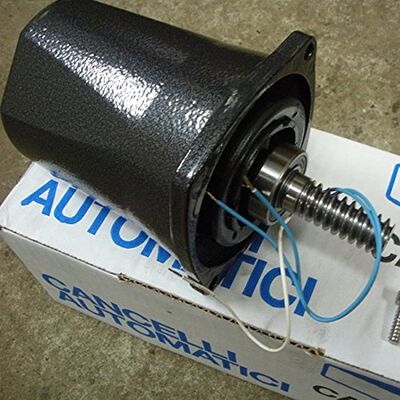 Came 119RID261 Moteur de Porte de Garage - Standard 230V - Fiable - Publicité Came 119RID261 Moteur de Porte de Garage - Standard 230V - Fiable - Publicité