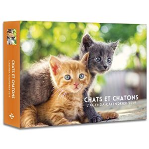 Collectif L'agenda-calendrier Chats & Chatons 2019 - Publicité Collectif L'agenda-calendrier Chats & Chatons 2019 - Publicité
