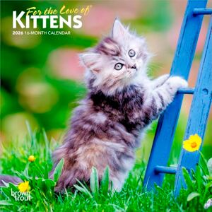 Kittens For The Love Of 2026 Mini 7X7 - Publicité Kittens For The Love Of 2026 Mini 7X7 - Publicité