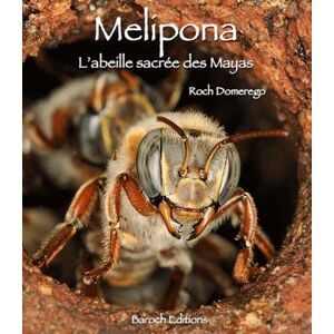 Domerego, Roch Mélipona : L'Abeille sacrée des Mayas - Publicité Domerego, Roch Mélipona : L'Abeille sacrée des Mayas - Publicité