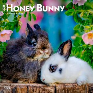 Honey Bunny Calendrier mural mensuel carré suspendu 2026 30,5 x 61 cm Sans plastique BrownTrout Petits animaux domestiques mignons - Publicité Honey Bunny Calendrier mural mensuel carré suspendu 2026 30,5 x 61 cm Sans plastique BrownTrout Petits animaux domestiques mignons - Publicité