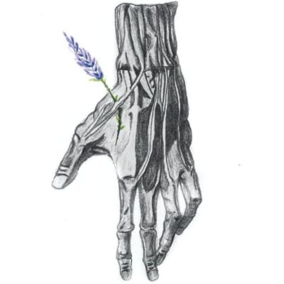 DMLM, Dessine-moi la médecine Carnet de Notes Notebook Poetic Anatomy Collection : the hand: (couverture vernis, papier crème) - Publicité DMLM, Dessine-moi la médecine Carnet de Notes Notebook Poetic Anatomy Collection : the hand: (couverture vernis, papier crème) - Publicité