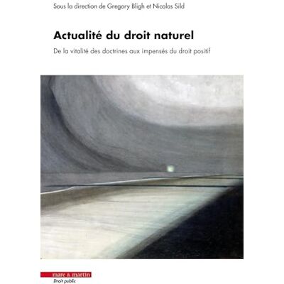 Bligh, Gregory Actualité du droit naturel: De la vitalité des doctrines aux impensés du droit - Publicité Bligh, Gregory Actualité du droit naturel: De la vitalité des doctrines aux impensés du droit - Publicité
