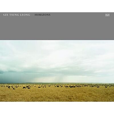 Tsung, Leong sze Sze Tsung Leong Horizons /anglais - Publicité Tsung, Leong sze Sze Tsung Leong Horizons /anglais - Publicité