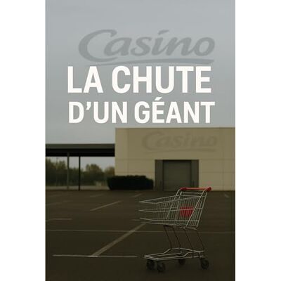 Un ancien salarié CASINO -- LA CHUTE D'UN GÉANT - Publicité Un ancien salarié CASINO -- LA CHUTE D'UN GÉANT - Publicité