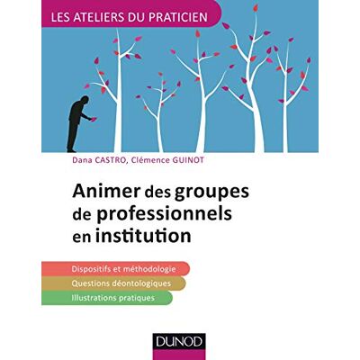 Castro, Dana Animer des groupes professionnels en institution - Publicité Castro, Dana Animer des groupes professionnels en institution - Publicité