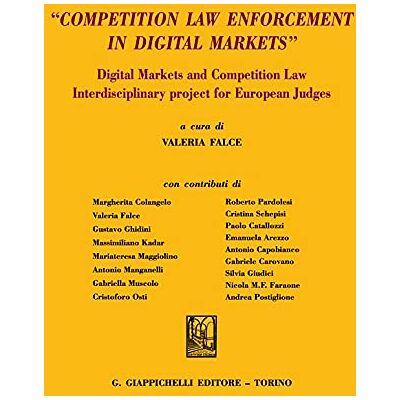 «Competition law enforcement in digital markets». Digital markets and competition law. Interdisciplinary project for European judges - Publicité «Competition law enforcement in digital markets». Digital markets and competition law. Interdisciplinary project for European judges - Publicité