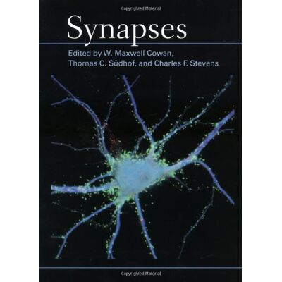 Collectif Synapses - Publicité Collectif Synapses - Publicité