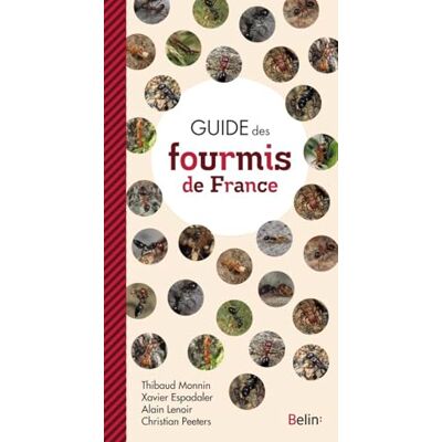 Monnin, Thibaud Guide des Fourmis de France - Publicité Monnin, Thibaud Guide des Fourmis de France - Publicité