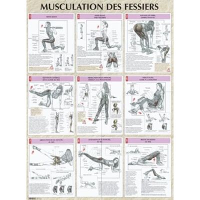 DELAVIER FREDERIC Musculation des fessiers planche plastifiée (0000) - Publicité DELAVIER FREDERIC Musculation des fessiers planche plastifiée (0000) - Publicité