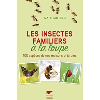 Helb, Matthias Les insectes familiers à la loupe: 100 espèces de nos maisons et jardins - Publicité Helb, Matthias Les insectes familiers à la loupe: 100 espèces de nos maisons et jardins - Publicité