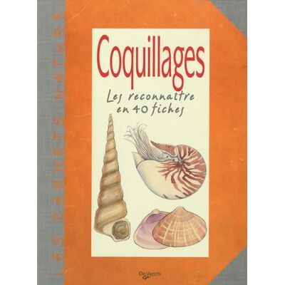 De Vecchi Coquillages: Les reconnaître en 40 fiches - Publicité De Vecchi Coquillages: Les reconnaître en 40 fiches - Publicité