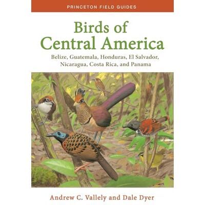 Vallely, Andrew Birds of Central America: Belize, Guatemala, Honduras, El Salvador, Nicaragua, Costa Rica, and Panama - Publicité Vallely, Andrew Birds of Central America: Belize, Guatemala, Honduras, El Salvador, Nicaragua, Costa Rica, and Panama - Publicité