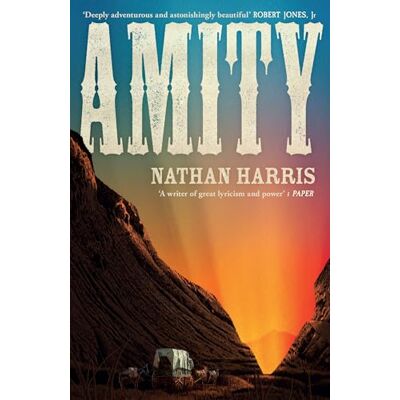 Harris, Nathan Amity: from the Booker-longlisted author of The Sweetness of Water - Publicité Harris, Nathan Amity: from the Booker-longlisted author of The Sweetness of Water - Publicité