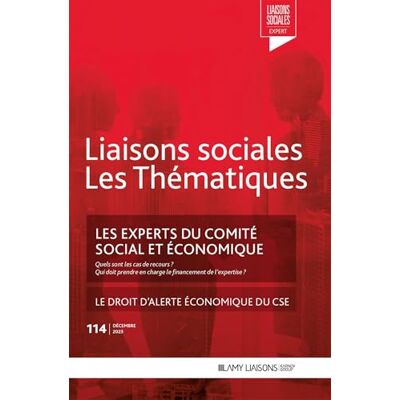 Lecroq, Clara Les experts du comité social et économique: Le droit d'alerte économique du CSE - Publicité Lecroq, Clara Les experts du comité social et économique: Le droit d'alerte économique du CSE - Publicité