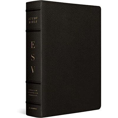 Holy Bible: Esv Study Bible Buffalo Leather, Deep Brown - Publicité Holy Bible: Esv Study Bible Buffalo Leather, Deep Brown - Publicité