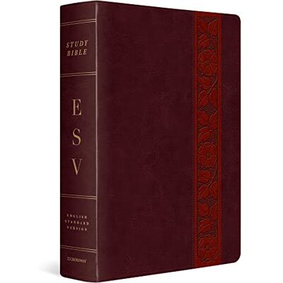 Crossway, Inc ESV Study Bible: Esv Study Bible, Large Print, Trutone, Mahogany, Trellis Design, Thumbed Indexed - Publicité Crossway, Inc ESV Study Bible: Esv Study Bible, Large Print, Trutone, Mahogany, Trellis Design, Thumbed Indexed - Publicité