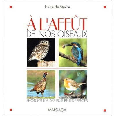 DE, STEXHE P A L'AFFUT DE NOS OISEAUX - Publicité DE, STEXHE P A L'AFFUT DE NOS OISEAUX - Publicité