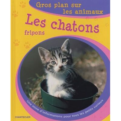 Sun, Wan-Ling Les chatons fripons - Publicité Sun, Wan-Ling Les chatons fripons - Publicité