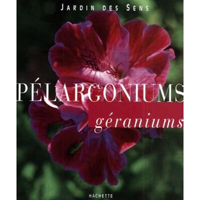 Abergel, F. Pélargoniums - Publicité Abergel, F. Pélargoniums - Publicité