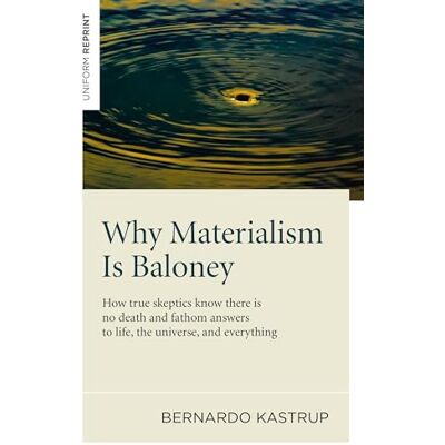 Kastrup, Bernardo Why Materialism Is Baloney - Publicité Kastrup, Bernardo Why Materialism Is Baloney - Publicité
