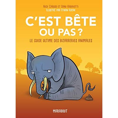 Caruso, Nick C'est bête ou pas ? - Publicité Caruso, Nick C'est bête ou pas ? - Publicité