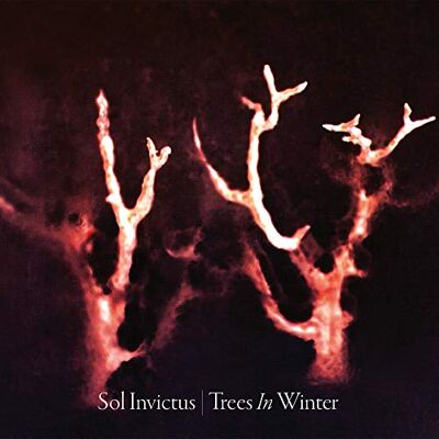 Sol Invictus Trees in Winter -Digi- - Publicité Sol Invictus Trees in Winter -Digi- - Publicité