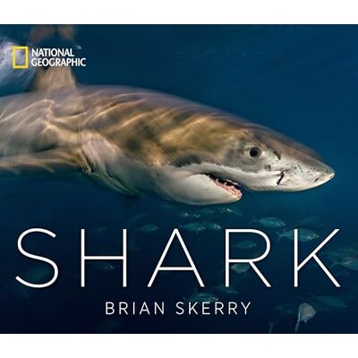 Shark - Publicité Shark - Publicité