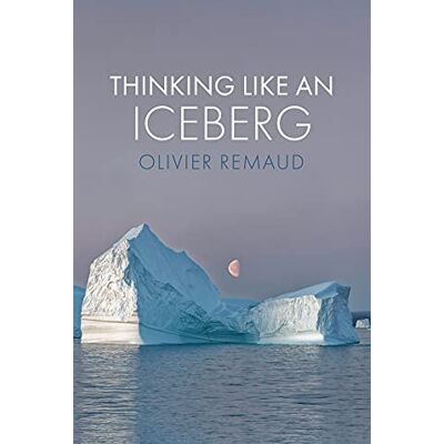 Remaud, Olivier Thinking Like an Iceberg - Publicité Remaud, Olivier Thinking Like an Iceberg - Publicité