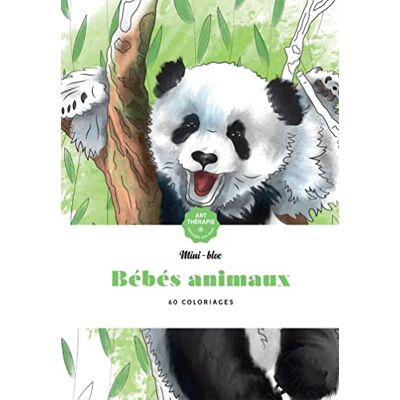 Bébés animaux - Publicité Bébés animaux - Publicité