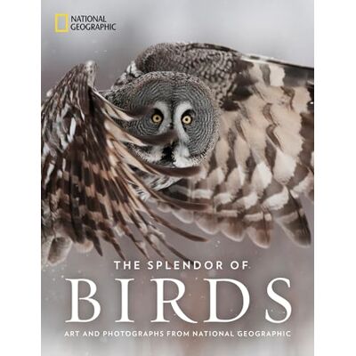The Splendor of Birds: Art and Photographs From National Geographic - Publicité The Splendor of Birds: Art and Photographs From National Geographic - Publicité