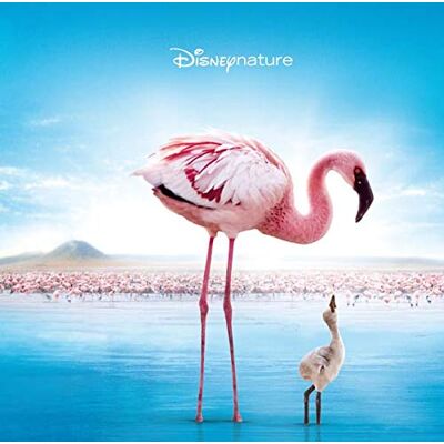 Disney Les Ailes Pourpres: Le mystères des flamants - Publicité Disney Les Ailes Pourpres: Le mystères des flamants - Publicité