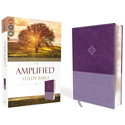 Zondervan The Amplified Study Bible, Leathersoft, Purple - Publicité Zondervan The Amplified Study Bible, Leathersoft, Purple - Publicité