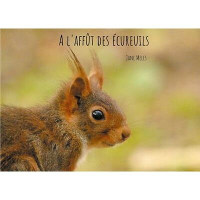 Meles, Jane A l'affût des écureuils - Publicité Meles, Jane A l'affût des écureuils - Publicité