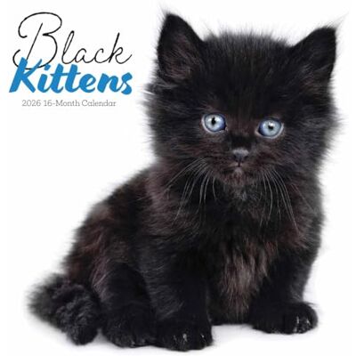 Carousel Calendars Black Kittens Square Wall Sunday Start C - Publicité Carousel Calendars Black Kittens Square Wall Sunday Start C - Publicité