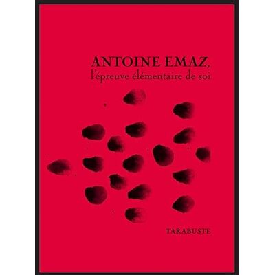 Collectif ANTOINE EMAZ, l'épreuve élémentaire de soi - Publicité Collectif ANTOINE EMAZ, l'épreuve élémentaire de soi - Publicité