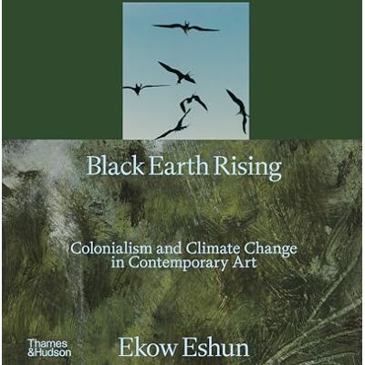 Eshun, Ekow Black Earth Rising: Colonialism and Climate Change in Contemporary Art - Publicité Eshun, Ekow Black Earth Rising: Colonialism and Climate Change in Contemporary Art - Publicité