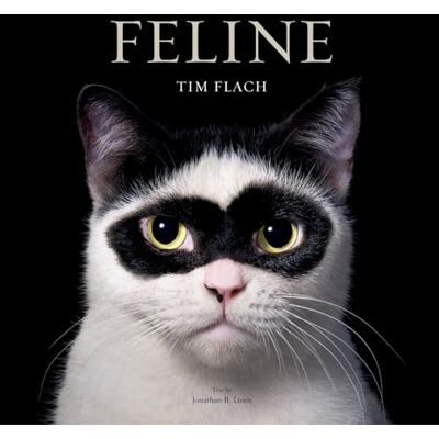 Flach, Tim Feline: Photographs - Publicité Flach, Tim Feline: Photographs - Publicité