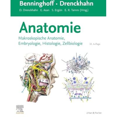 Benninghoff/Drenckhahn, Anatomie: Makroskopische Anatomie, Histologie, Embryologie, Zellbiologie - Publicité Benninghoff/Drenckhahn, Anatomie: Makroskopische Anatomie, Histologie, Embryologie, Zellbiologie - Publicité