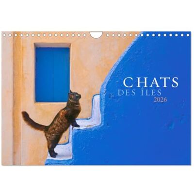 Krutz, Christina Chats des îles (Calendrier mural 2026 DIN A4 vertical), CALVENDO calendrier mensuel: De belles photos de la magie et de l'âme des chats dans les îles grecques - Publicité Krutz, Christina Chats des îles (Calendrier mural 2026 DIN A4 vertical), CALVENDO calendrier mensuel: De belles photos de la magie et de l'âme des chats dans les îles grecques - Publicité