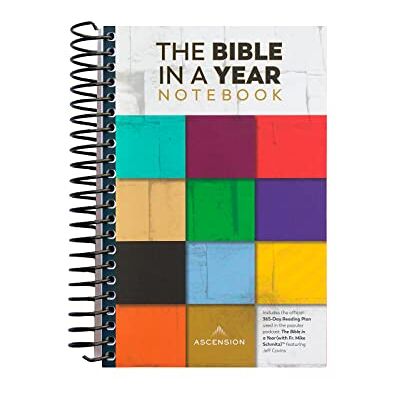 Cavins, Jeff The Bible in a Year Notebook - Publicité Cavins, Jeff The Bible in a Year Notebook - Publicité